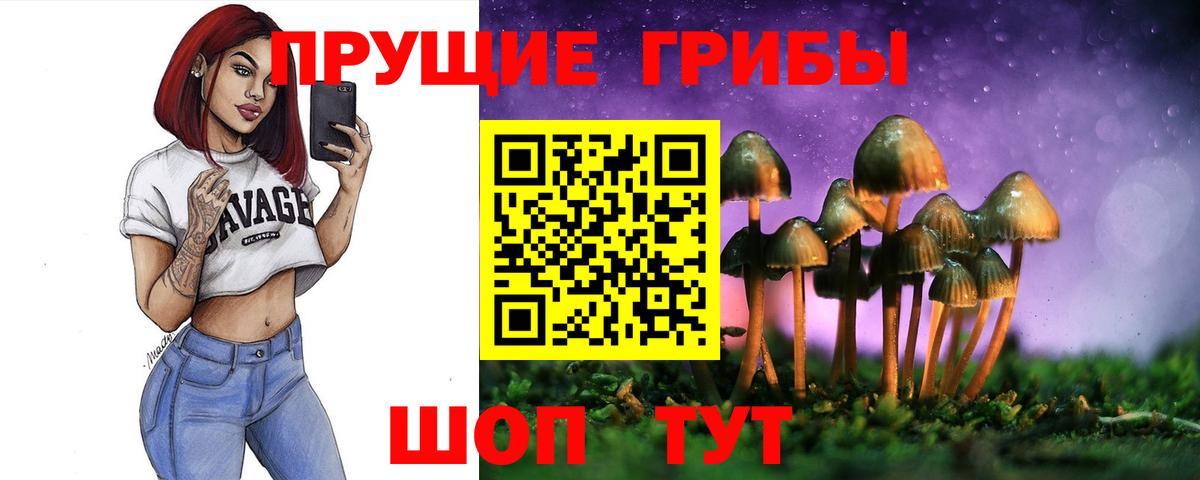 Псилоцибиновые грибы Magic Shrooms  закладка  Дзержинский  Вход с VPN 